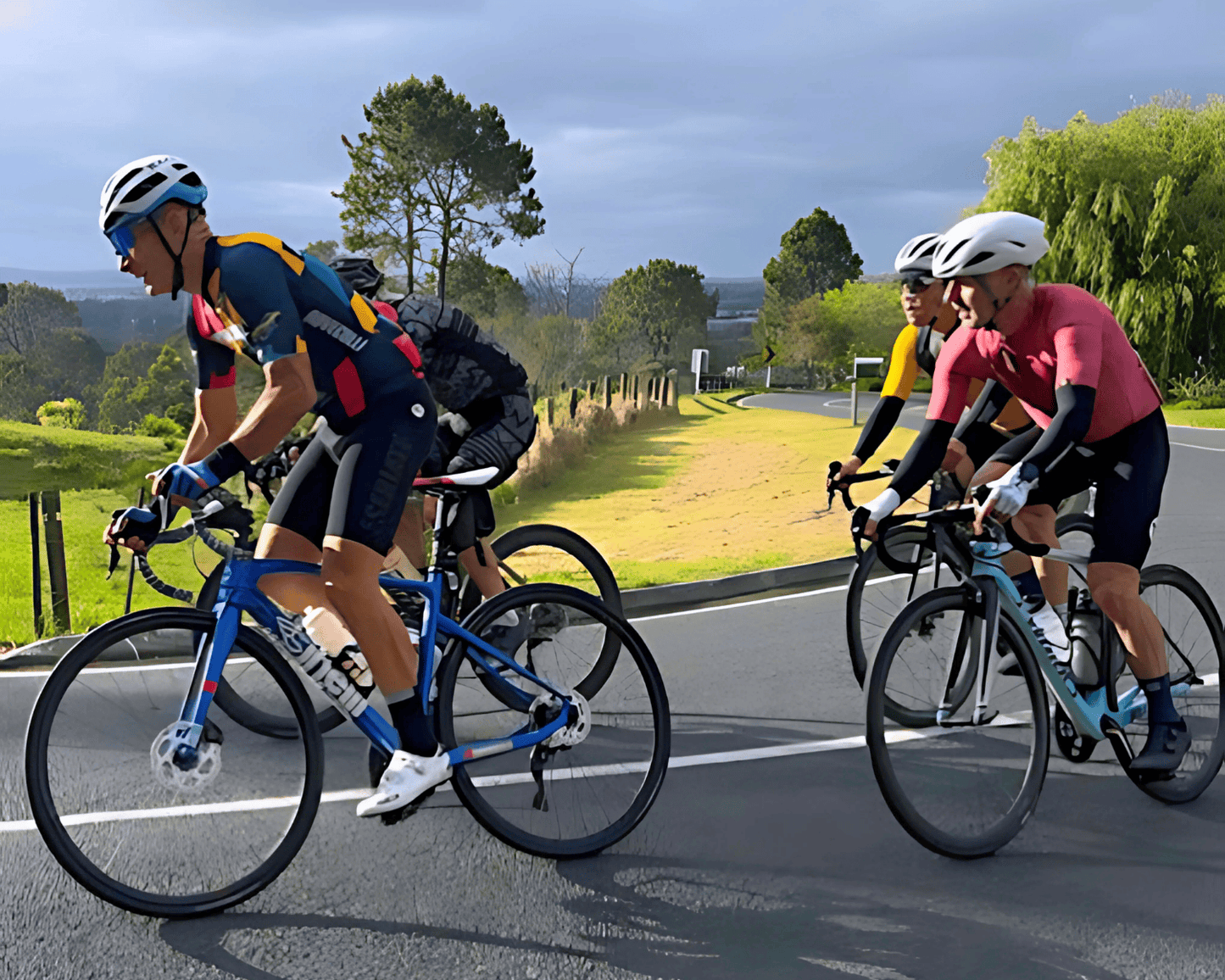 Guided Ride/Tour Auckland