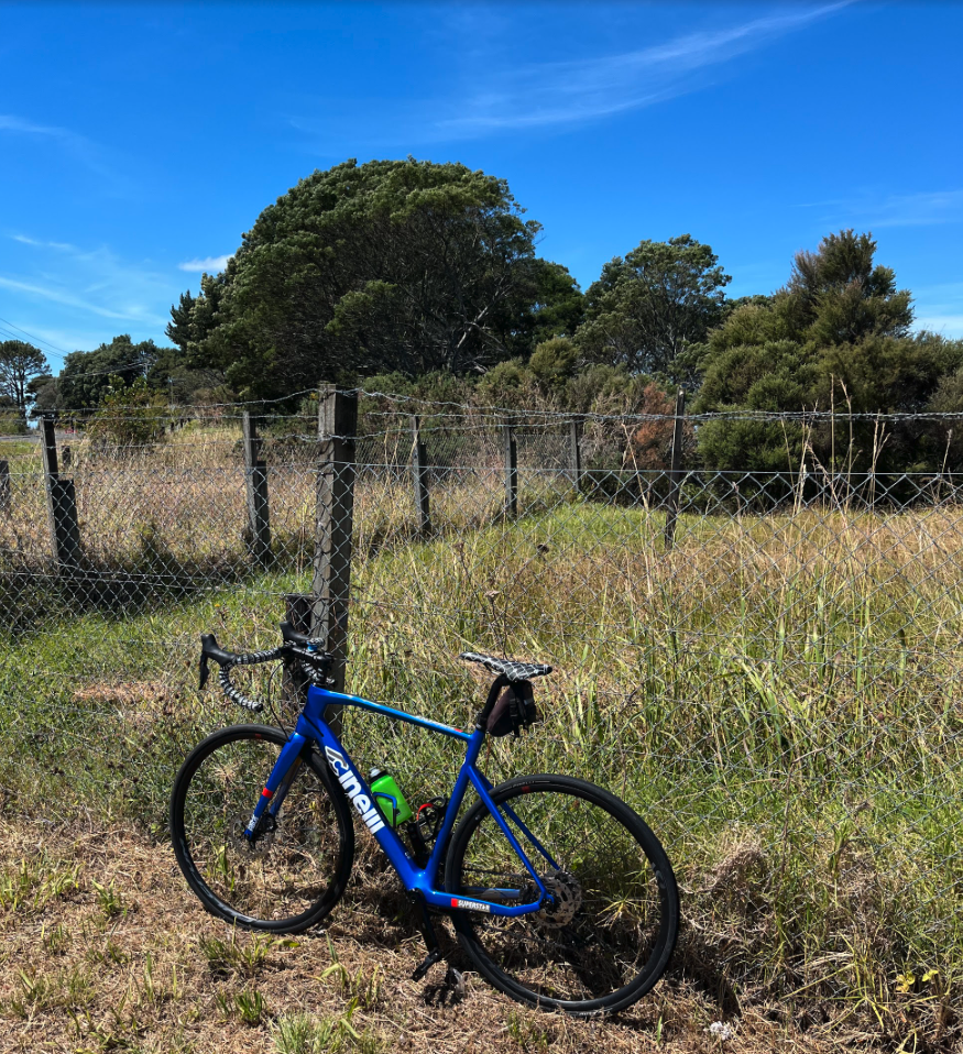 Guided Ride/Tour Auckland